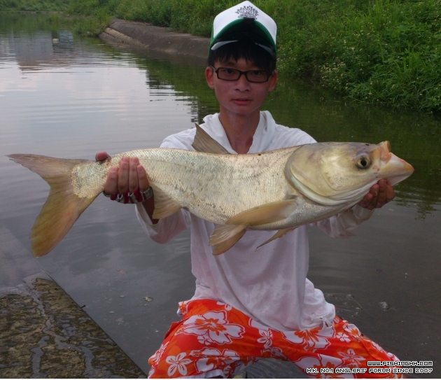 DSC_0079 - 複製.jpg