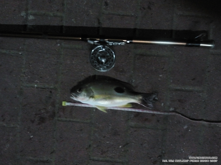 2012-08-09 20.01.42.jpg