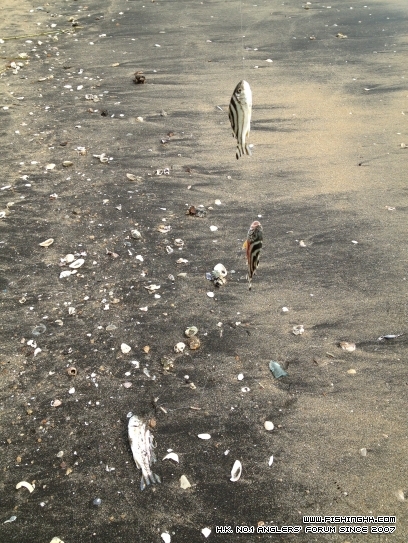 08-09-2012 007.JPG