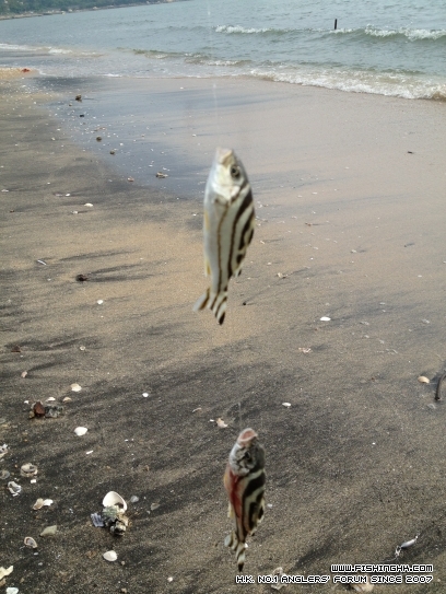 08-09-2012 008.JPG