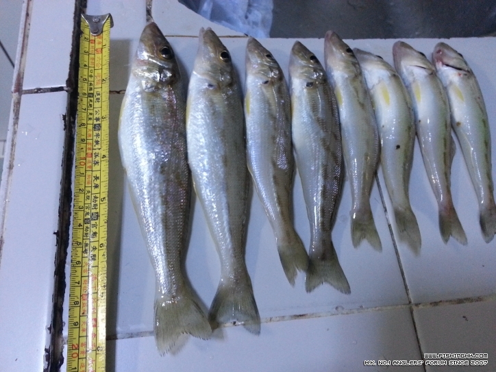 20120906_185139.jpg