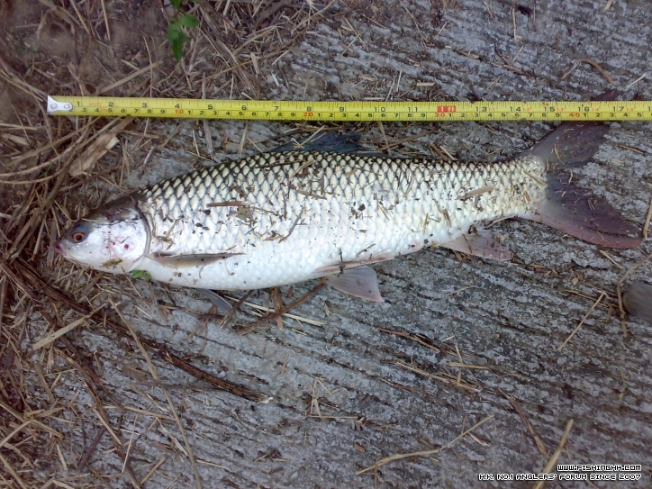 201210011331.jpg