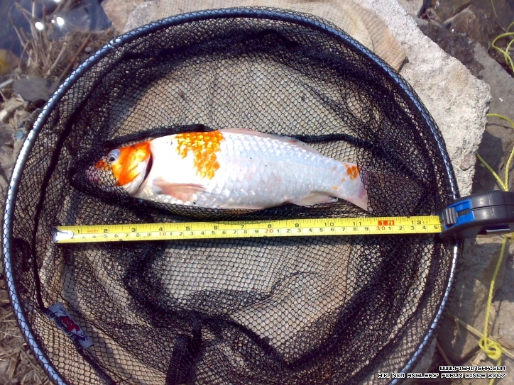 201210021354.jpg