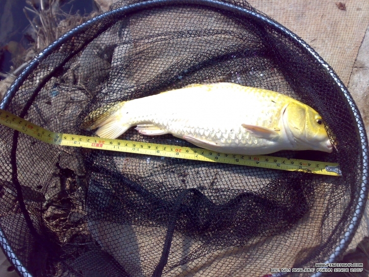201210021356.jpg