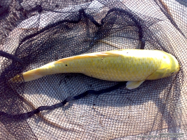 201210021357.jpg