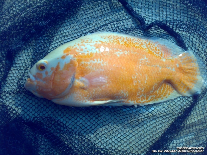 201210021359.jpg