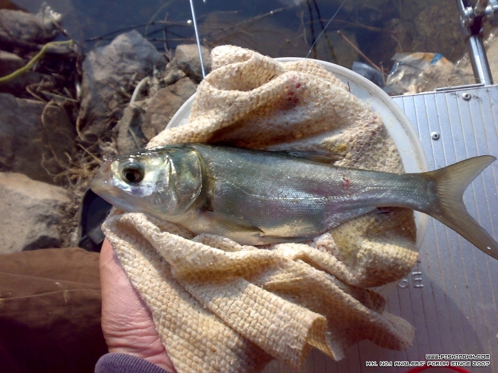 201210021360.jpg