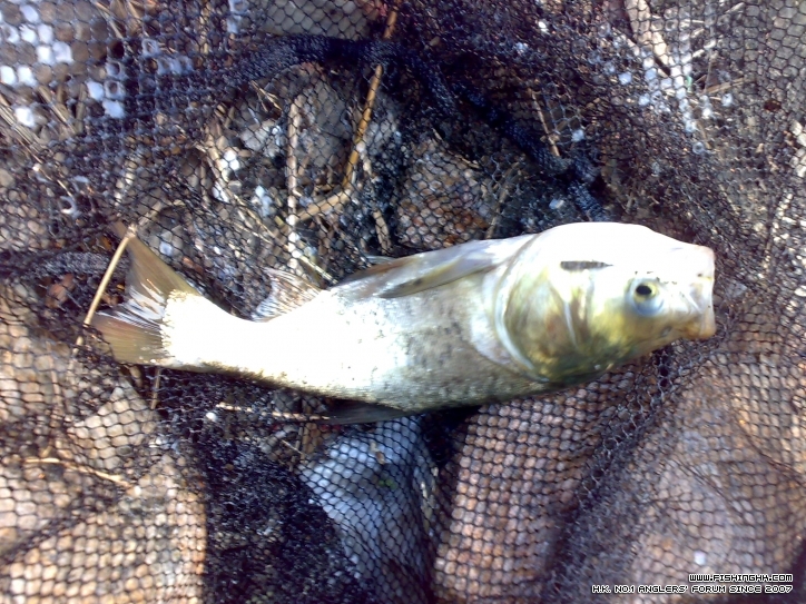 201210021365.jpg