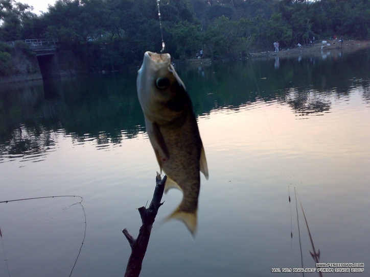 201210021367.jpg