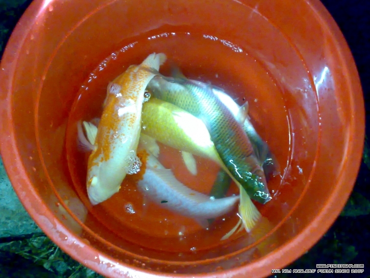 201210021372.jpg