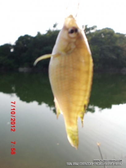 CIMG0316.JPG