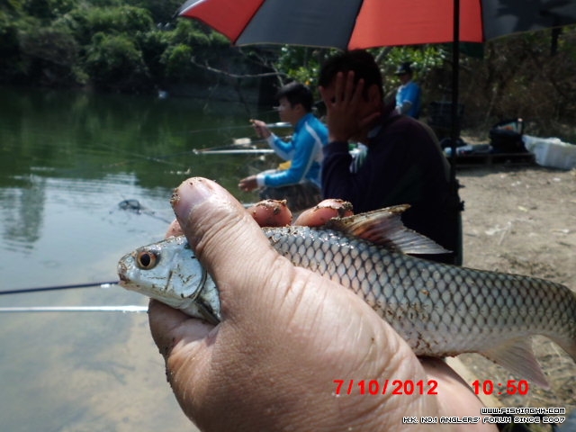 CIMG0317.JPG