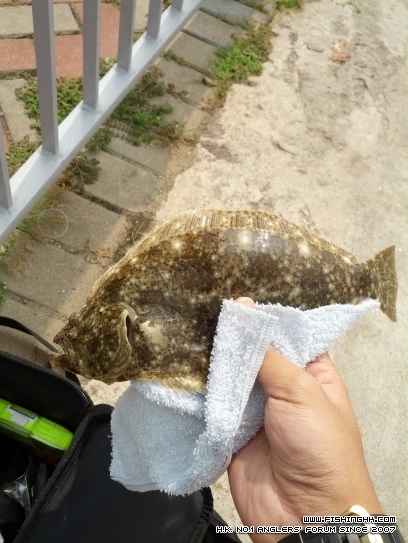 IMG_20120930_102848.jpg