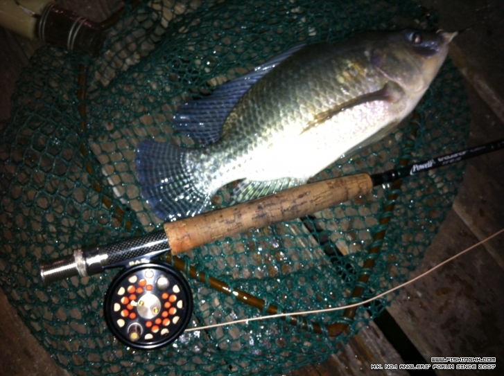 Photo 12-10-12 18 16 10.jpg