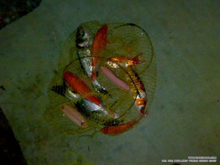 201210171456.jpg