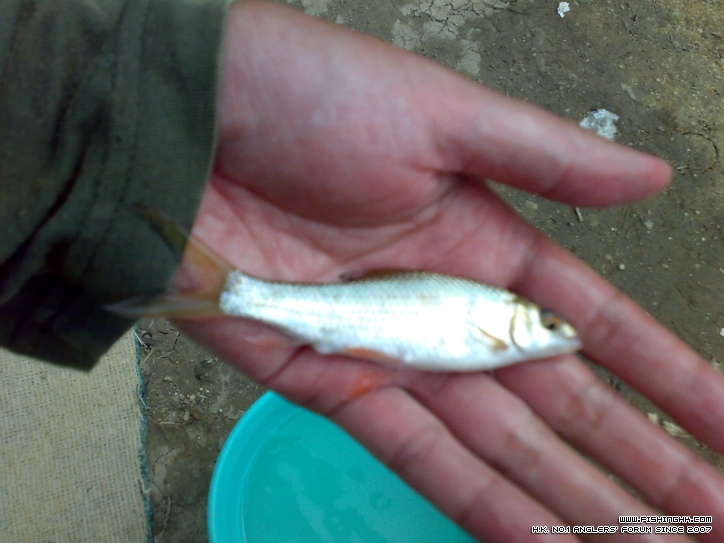 201210171435.jpg