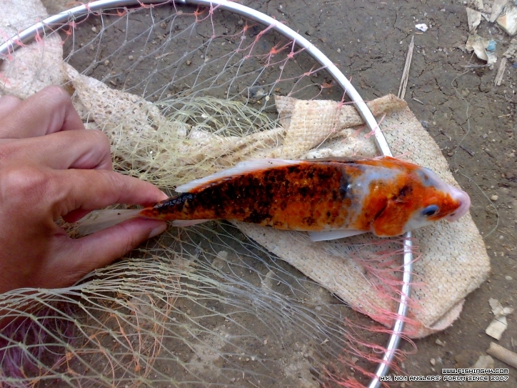 201210171436.jpg