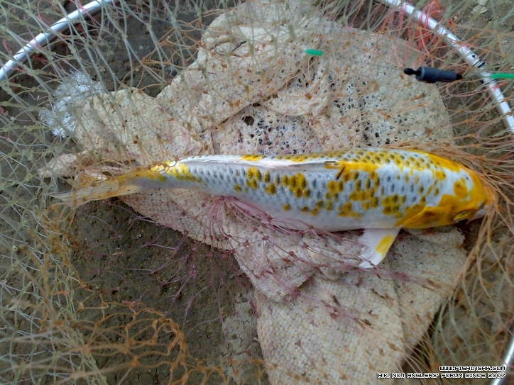 201210171439.jpg