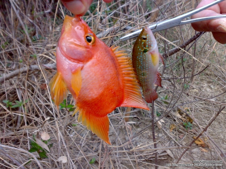 201210171442.jpg