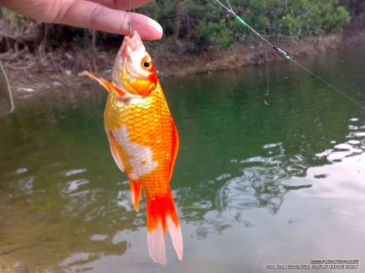 201210171444.jpg