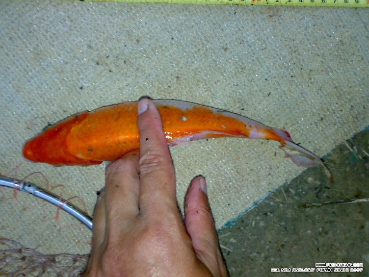 201210171447.jpg