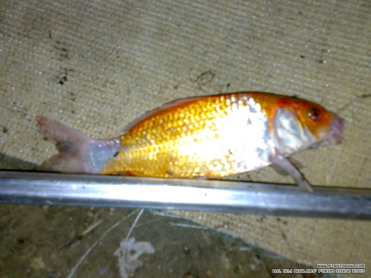 201210171451.jpg