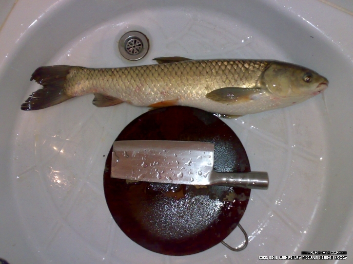 201210211477.jpg