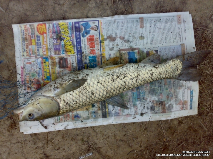 201210211459.jpg
