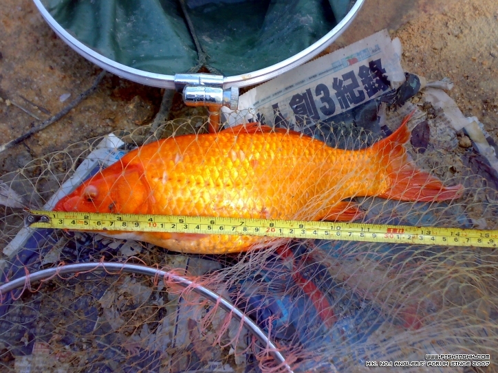 201210211463.jpg