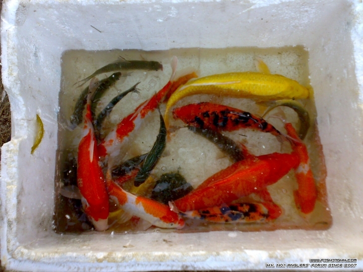 201210211467.jpg