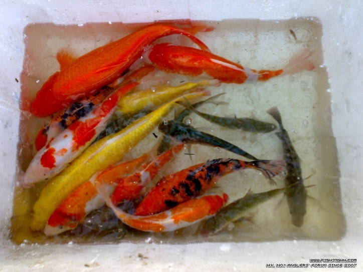 201210211469.jpg