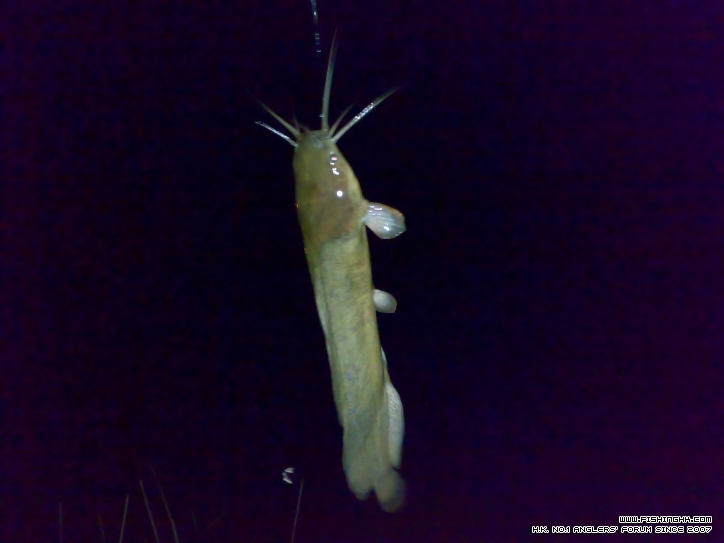 201210211471.jpg