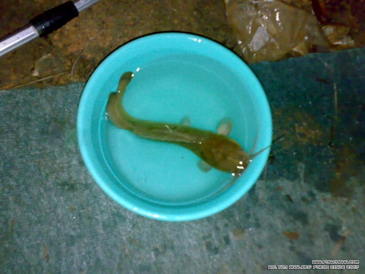 201210211472.jpg