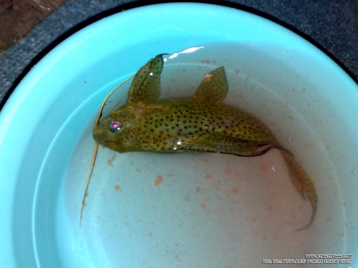 201210211474.jpg