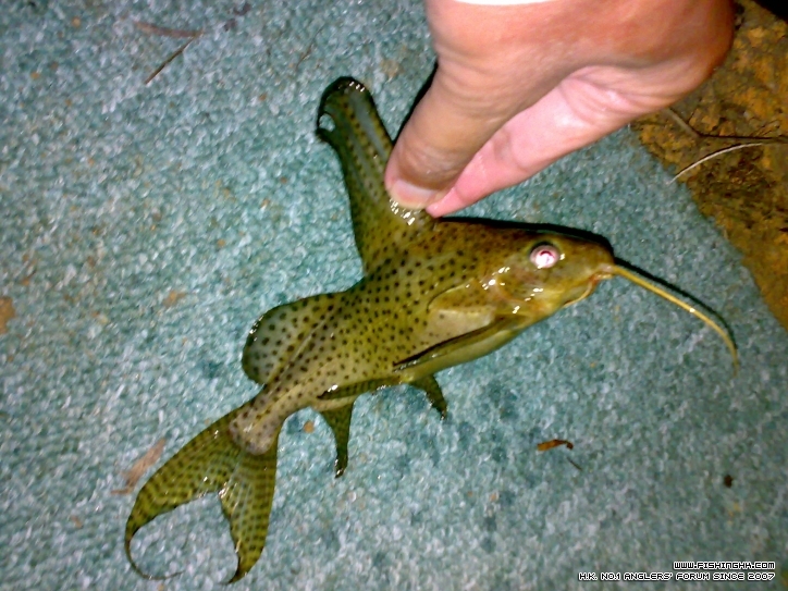 201210211476.jpg