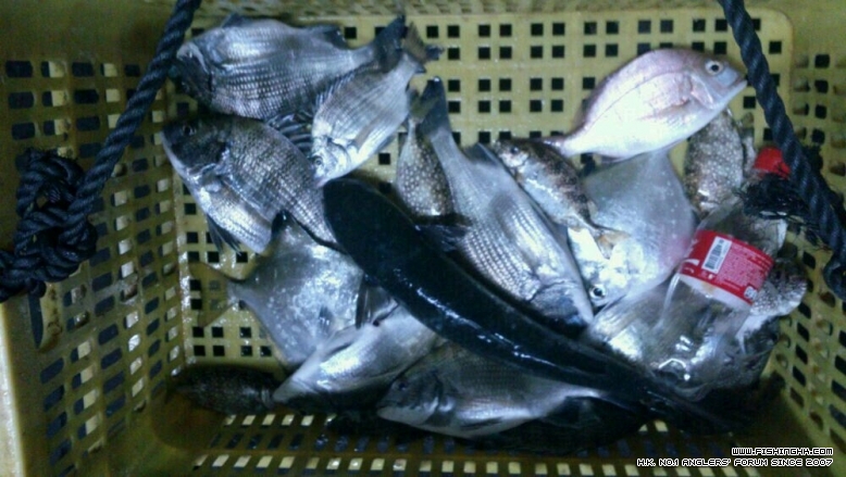 IMG-20121026-WA0010.jpg