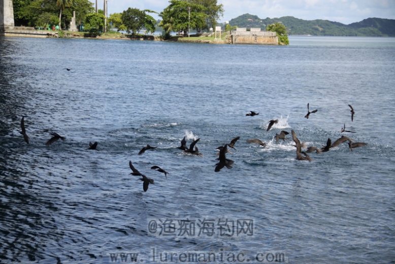 nEO_IMG_IMG_3391.jpg