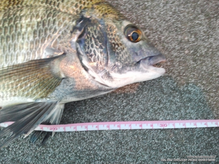 2012-09-27 18.19.21.jpg