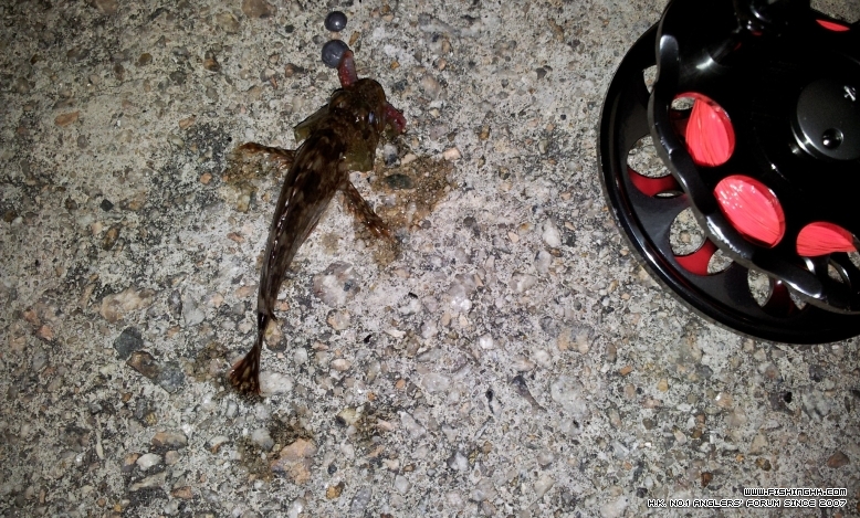 C360_2012-11-23 20-43-09.jpg