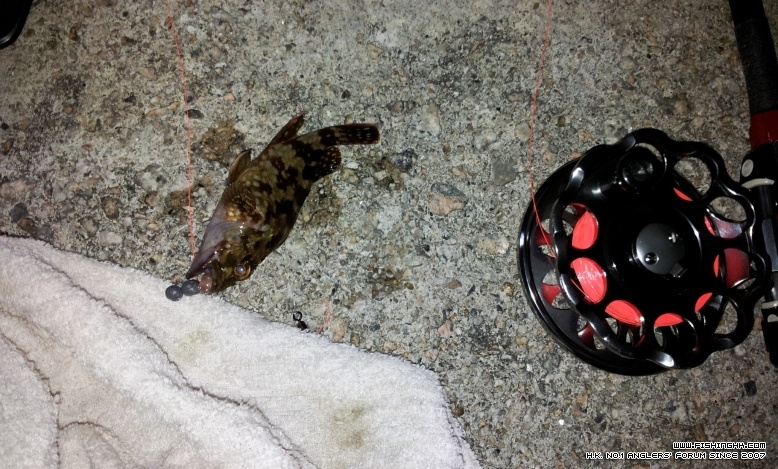 C360_2012-11-23 20-57-53.jpg