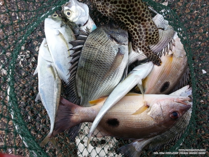 20121125_162313.jpg
