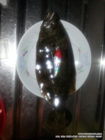 IMG-20121201-WA0003.jpg