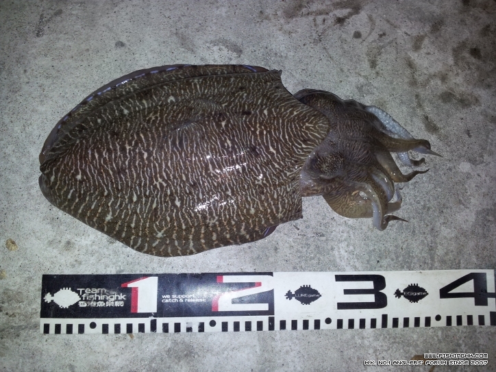 2012-12-02 04.17.34.jpg