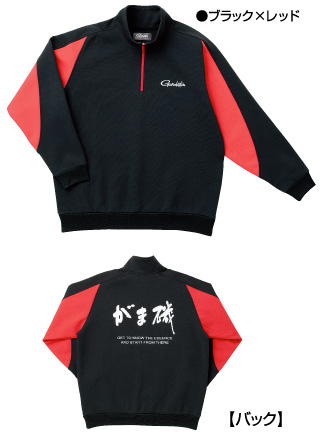 gm32518500.jpg