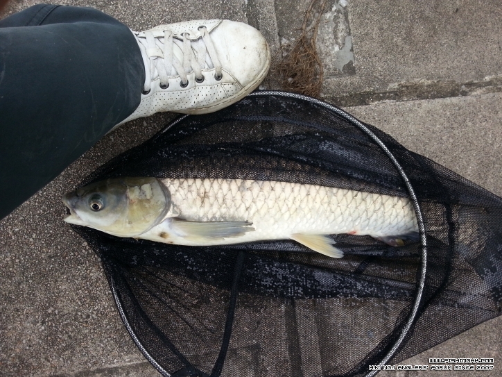 20121207_130846.jpg
