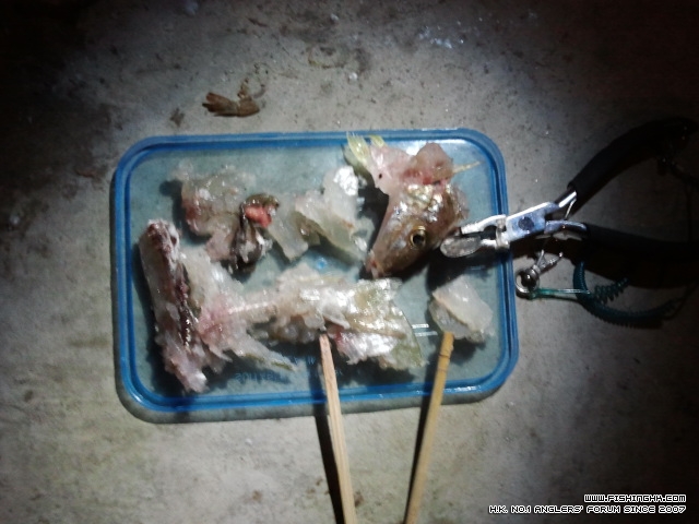 2012-12-08 00.39.07.jpg