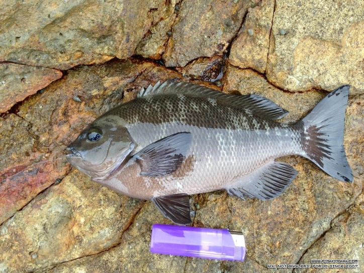 Photo 12年12月21日12 03 11.jpg