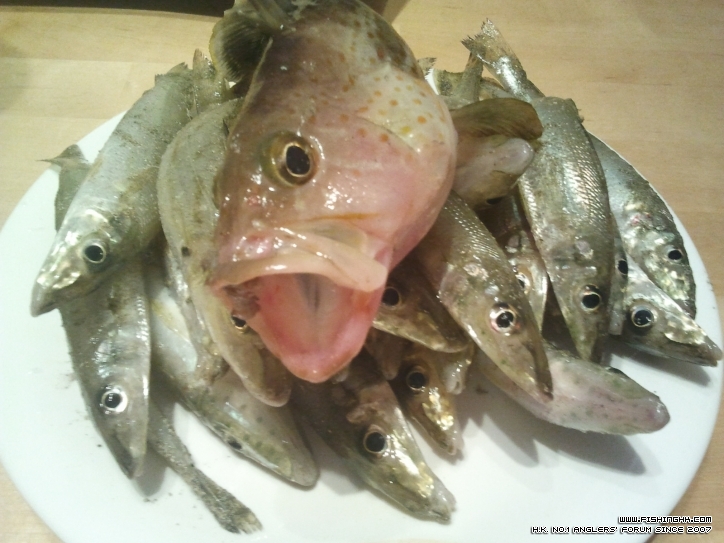 2012-12-25 20.11.32.jpg