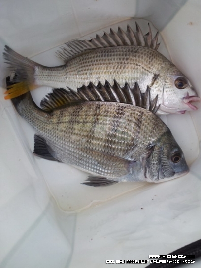 20121227_074409.jpg