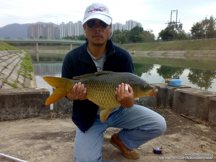 201301011682.jpg